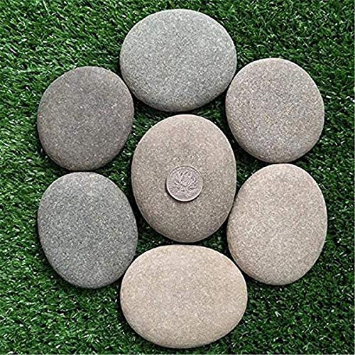 MRZJ Piedras grandes planas/piedras para pintar y jardín, piedras blancas, piedras decorativas de mármol natural, piedras decorativas para decoración de jardín, piedras de jardín, 5-7 cm,