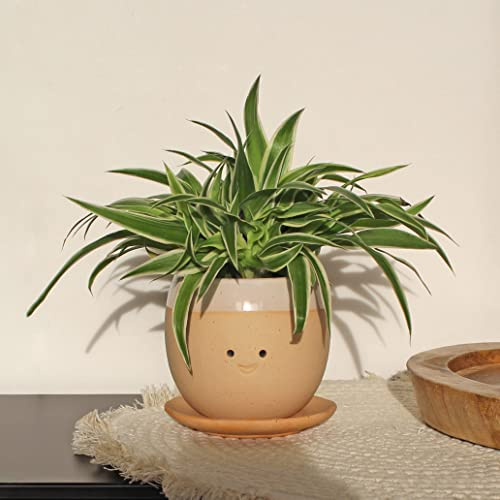 Winkee - Crying Pot Blumentopf | Keramik Blumen-Vase für kreative Dekorationen - modern und elegant | Stilvolle Blumenvase | Hochwertige Dekoration | Geschenk zum Muttertag, Geburtstag, Weihnachten