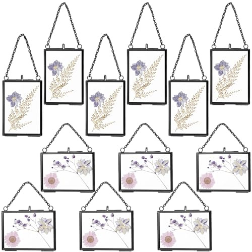 Kigley 12 Pcs Double Glass Frame for Pressed Flowers Floating Hanging Photo Frame 3.5 x 2.5 in Brass Clear Pressed Flower Decor with Chain for Display Gallery Artwork, Horizontal Vertical (Black)