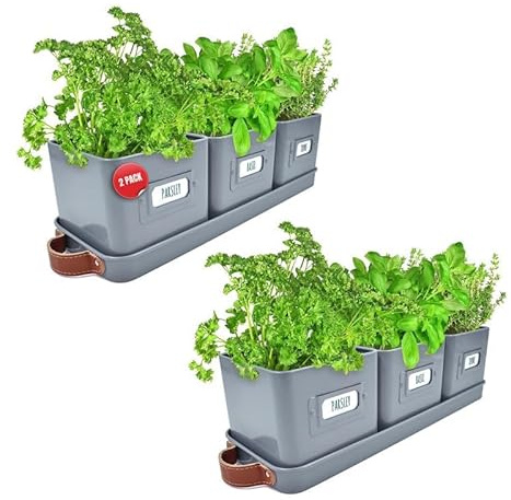 Green Thumbz Herb Pots for Kitchen Windowsill - 2 Pack Charcoal Grey Herb Planter Indoor with Leather Handled Tray - Ideal for an Indoor Herb Garden, Plants and Flowers - Labels Included