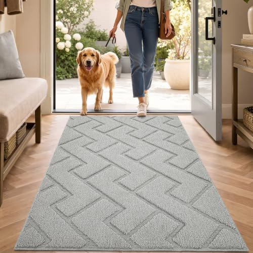 Biscpro Fußmatte Innen Außen Waschbar eingangsteppich innen Schmutzfangmatte rutschfest,Türmatte Innen Teppich für Eingang, Patio, Flur, Garten, Innen und Außen (Light Grey,80x120cm)