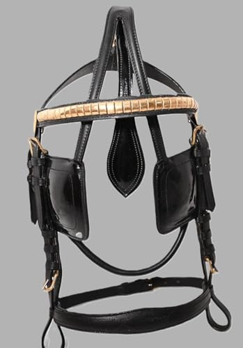 Leather Horse Driving Harness Bridle Patent Blinkers Golden Fittings Black (Extra-Full)