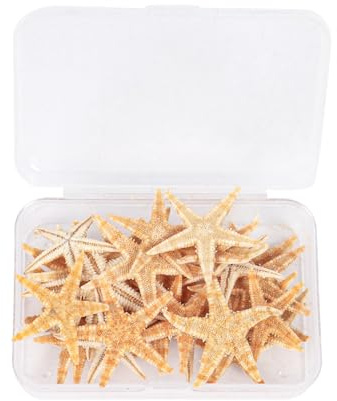 Qaziuy 30 Stück Seestern Deko,Finger Starfish Natürlich Seesterne Maritime Deko Outdoor Mini Seesterne für Aquarium Strand-Themenparty Wohnkultur DIY Handwerk Fischernetz Deko
