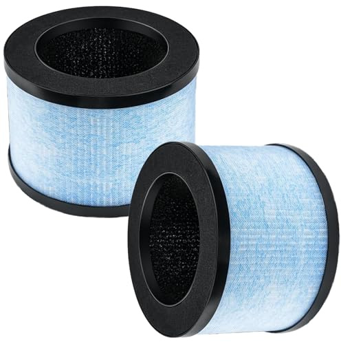 Filtro di ricambio per depuratore d'aria CONOPU DH-JH01 & DH-JH06, 3 in 1, H13 True Hepa con carbone attivo ad alta efficienza e prefiltro di ricambio (2 pezzi)