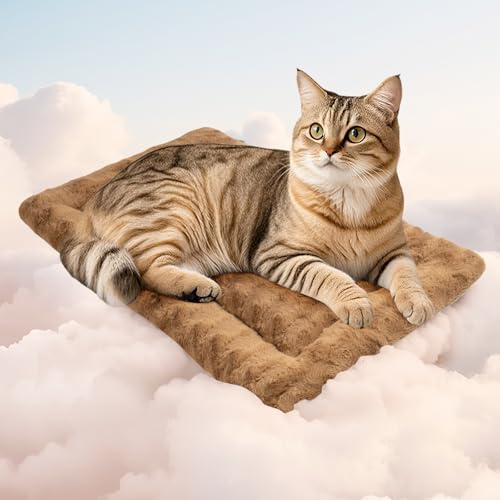 Mora Pets Katzendecke für Katzen Katzenkissen Flauschig Katzenbett Waschbar und rutschfest Katze Decke Kuscheldecke für Kleine Mittelgroße Grosse Katzen, 53 x 33 cm