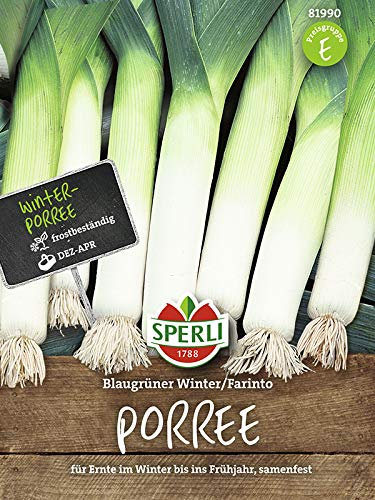 Porree Blaugrüner Winter/Farinto