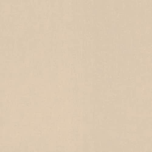 Rasch Tapete 710434 - Glatte Vliestapete mit textiler Optik in Beige aus der Kollektion Sophia - 10,05m x 0,53m (LxB)