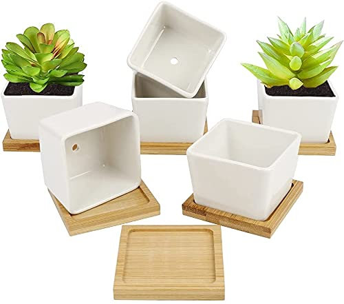 Weiße Keramik-Blumentöpfe für Sukkulenten, 6 Stück, 6,6 cm Mini-Kaktus-Pflanzgefäße für Zimmerpflanzen, Sukkulenten, Kaktus-Pflanzgefäße