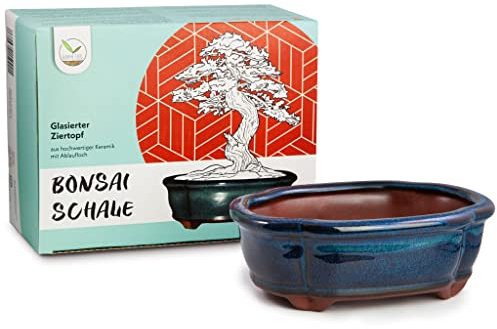 HappySeed Bonsai Schale Keramik (klein) in Marineblau - Bonsai Topf abgerundet für die perfekte Inszenierung Ihres Zimmerbonsais - 15 x 5,5 x 11 cm
