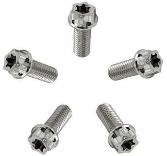 RISON-Titanium Titanschrauben M10x1.25x30mm, 5 Stück Flanschschraube Torx Kopf Flansch Schrauben Sechskantschrauben Gewindeschrauben GR5 Titanbolzen Befestigungen für Motorräder Fahrrad Auto