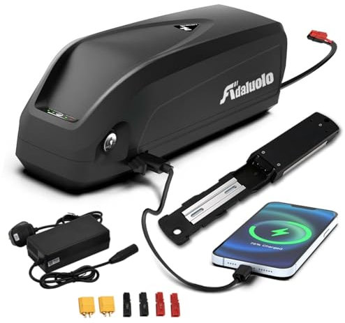 Adaluolo 48V Ebike Battery 20AH Hailong Electric Bike Battery Lithium ion Bicycle Battery with Charger, 5 Pin Fix Plate, USB Port, Connector for 100W-1500W Motor