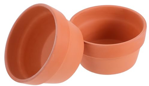 EPIGEIST Set da 2 Vasi in Terracotta con Foro di Drenaggio per Piante Grasse e Bonsai Fioriere Decorative da Interno per Balcone e Scrivania Diametro 125 CM Colore Rosso Naturale