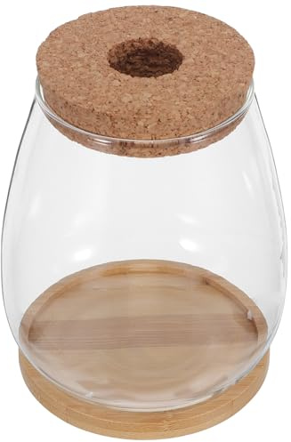 Jarrón de Propagación de Vidrio 2 Juegos con Madera para Plantas | Visibilidad de Raíces, Uso en Oficina y Alféizar, Apto para Orquídeas, Acabado de Claridad Duradera