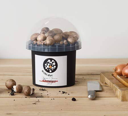 Mushroom Growing Kit - Brown Button Mushroom Grow Kit - Everything Included for Beginners