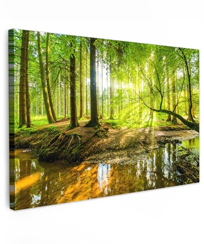 MuchoWow© Leinwandbild Dekoration Wohnzimmer Bilder Aufhängen Wall - Natur | 60x40 cm - Decoration Living Room Wohnungs Deko Moderne Wandbilder Bild Wald - Landschaft - Wasser - Bäume - Grün