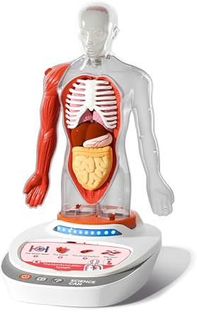 ScienceCan 3D-Modell vom menschlichen Körper - eine Wissensreise mit Quiz und Sound - ab 6 Jahre - 1600222022de0001