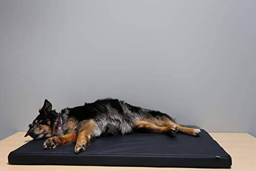 Beckers Beste Hundematte Kunstleder (75cm x 55cm x 5cm, Schwarz)
