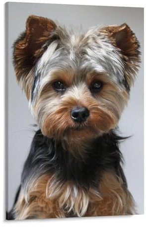 Jigsaw Puzzle 1000 Pieces,Yorkshire Terrier Cute Dog,Large Family Puzzle Game Artwork for Adults Teens(38x26cm)-A65
