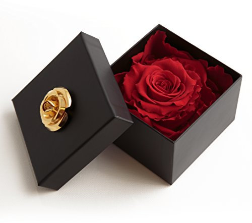 Ewige Rose Rot in Box - Rosenbox 8,5x8,5cm 1 echte Rose haltbar 3 Jahre in Blumenbox - Valentinstag für sie Rose ROSEMARIE SCHULZ Heidelberg (Rot, 1 Rose)