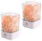 Nuzamas Lot de 2 Lampe de sel 5 W Cristal Rose de l'Himalaya Naturel thérapeutique Rock Petite minérale 12 V USB Light Chambre à coucher, bureau, lampe Outdoor, camping, yoga, Multicolore