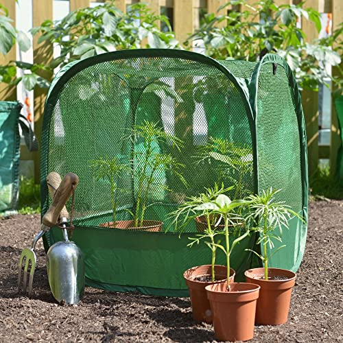 GardenSkill Mini Serre pour Tomates Fraises Semis avec Filet Anti-Oiseaux 50x50cm | Tunnel de Forçage Cloche Housse de Protection pour Plantes pour Potager Jardiniere Lit de Jardin Surélevé (1)