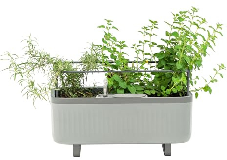 Vego Garden Herb Indoor Plant Box, Self Watering Planters Pots for Indoor Plants with Trellis for Kitchen Window Sill or Countertop Plants Cage - Fog Gray