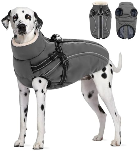 CITÉTOILE Wasserdichter Winter Hundemantel mit Geschirr Fleece Grau XXL | Warme Hundejacke mit Reißverschluss, Wintermantel mit Reflektorstreifen für kleine Mittel Große Hunde, mit Bauchschutz