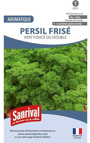 Graines Persil frisé