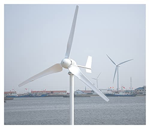 Aerogenerador APROBACIÓN CE 1000W Eje horizontal El generador de turbinas eólicas for la tierra y la marina incluyen el regalo del controlador Generador de turbina eólica ( Size : 3 Blades , Color : 2