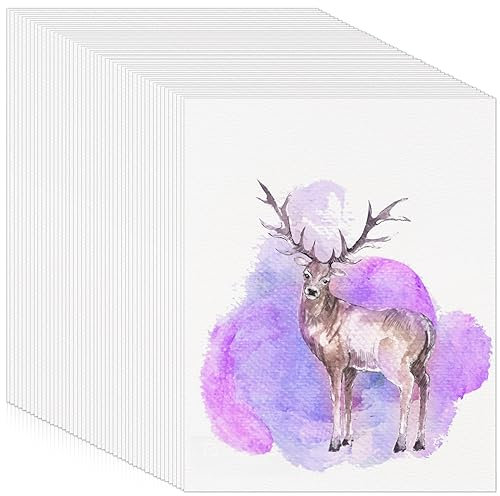 60 Blatt Aquarellpapier 300g, 15,24 x 22,86 cm Aquarellblock Aquarell Karten Blanko Dickes Watercolor Paper für Aquarelle Gouache Acryl Malen Zeichnen Kunstwerke DIY