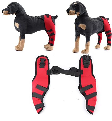 Rodillera para Perro, Soporte para Piernas, Lesión de Ligamentos, Dolor en Las Articulaciones y Dolor Muscular, Soporte Trasero Ajustable para Dislocación (HJ26 Polainas traseras Dobles Rojas)