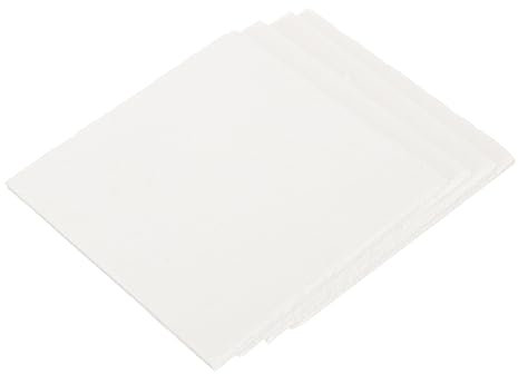 FELTECHELECTR 4stücke Getrocknete Blumen Gepresst Platten Boards Pflanzen Wasser Absorbierende Pressbretter Für Blumenpresse Pflanzenprobenwerkzeug Probe Herstellung Boards