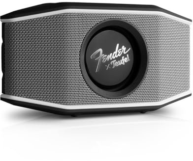 Fender x Teufel ROCKSTER GO 2 Bluetooth Speaker - Tragbarer Lautsprecher für draußen, mit Langer Akkulaufzeit (28 h), Wasserdicht IP67, Wireless Musikstreaming, USB Soundcard, Outdoor - Steel Black