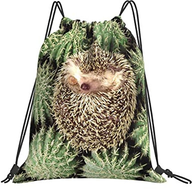 SBKGBIEHG Borsa con coulisse con motivo a limoni, resistente all'acqua, per sport, yoga, palestra, borsa a corda per uomo e donna, Riccio e Fico d'India, 16x14inch/42x36cm