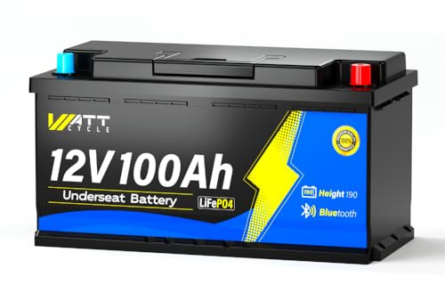 WattCycle 12V 100Ah LiFePO4 RV Untersitzbatterie mit Bluetooth & Smart 100A BMS, Tieftemperaturschutz, Max. 15.000 Zyklen, 20,48kWh, DIN H8 L5 Größe, Perfekter Rv Blei-Säure-Ersatz