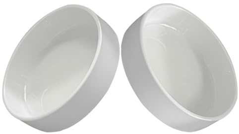 HOMSFOU Robuste Keramik Blumentopfuntersetzer Rund 2 Stück Wasserfeste Pflanzenteller für Zimmerpflanzen Garten Praktische Tropfschalen für Pflanzgefäße