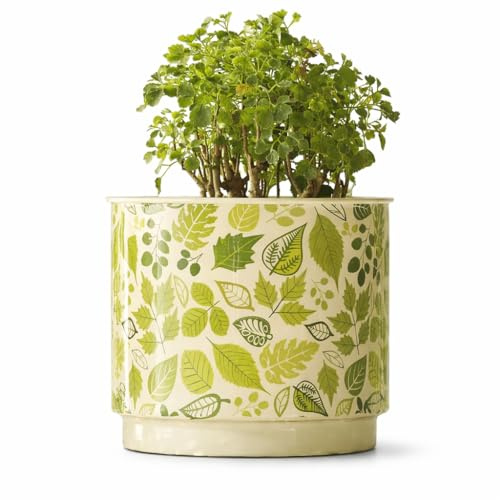 The Happy Garden 10-Inch Printed Large Indoor Plant Pot Galvanised Metal – Decorative Flowerpot for Indoor & Outdoor Use – Large Size, Garden, Balcony, or Living Room