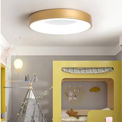TZSMUM Moderna Plafon LED Techo Regulable 2700K-6500K Lámpara de Techo con Mando a Distancia Lámpara Techo Redonda Flush Mount Diseño para Balcón Salón Dormitorio (Dorado,30cm)