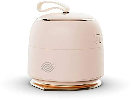 MOBILEVIE Mini Fers à Repasser à Vapeur de Voyage Sans fils Rose Abricot - Mini Portable Electric Iron Apricot Pink