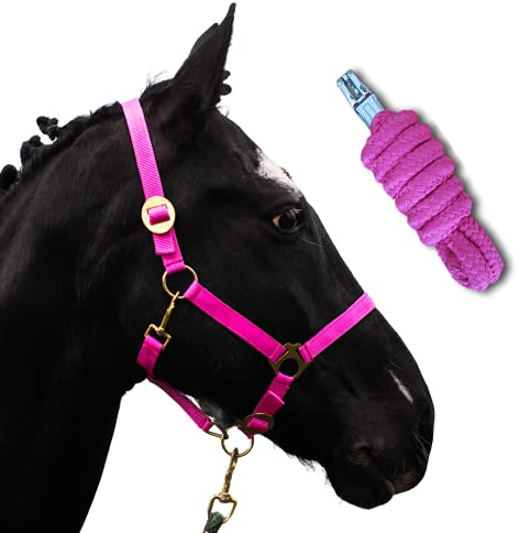 Halfter für Pferde mit Strick | Führstrick Pferd mit Halfter | Halfter Shetty, Pony, Vollblut, Full, X-Full mit Strick (Pink, Kaltblut)