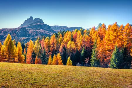 adrium Holz-Bild 60 x 40 cm: Beeindruckender Morgenblick von der Spitze des Giau-Passes. Bunte Herbstlandschaft in den Dolomiten, Standort Cortina d Ampezzo, (113852110)