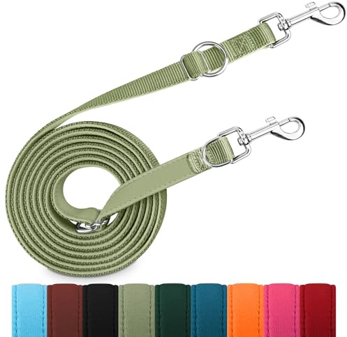 PETCOOZ Hundeleine 3 m Verstellbare Schleppleine, Verdickte Doppelleine Führleine für Hunde bis 30 kg für Kleine Mittelgroße Hunde, Freihandleinen Übungsleine aus Nylon mit 2 Karabiner, Grasgrün