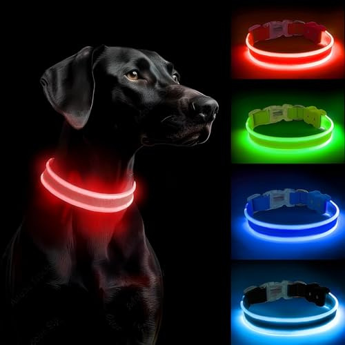 PcEoTllar Leuchthalsband Hund Aufladbar, LED Hundehalsband, Rot-M | mit 3 Leuchtmodi, Leuchtendes Hundehalsband Verstellbares Wasserdicht für Kleine Mittlere Große Hunde