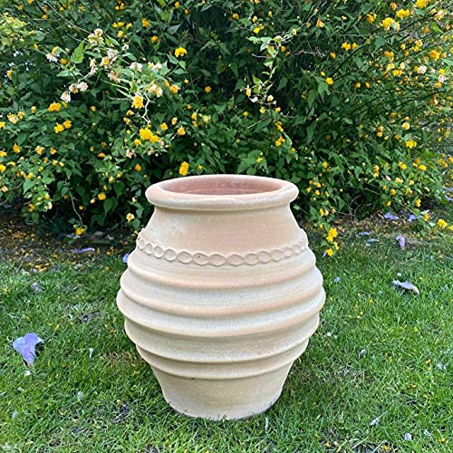 Palatina keramik | små terrakotta-amforer | vinterhärdiga och väderbeständiga | 35 cm | blomkruka för balkong, trädgård eller terrass, ficus