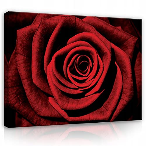 WallArena Leinwand Bilder 60x40 cm | Rose, Leinwandbilder, Bild auf leinwand, Format: 100x75 cm (BxH) - einteilig auf Canvas Leinwand. Das Leinwand