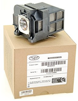 Alda PQ Professional, Lampada per proiettore compatibile con EPSON CB-4950WU, EB-1970W, EB-1975WU, EB-1980WU, EB-1985WU, EB-4550, EB-4650, EB-4750W, EB-4850WU, EB-4950WU, 1975W, 1985WU Proiettori