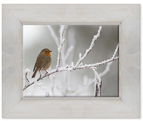 ConKrea Quadro su Tela Canvas INTELAIATO - con Cornice - Uccello Pettirosso - Paesaggio Innevato - Neve - 30x40cm - Stile Country Bianco Shabby - (cod.1097)