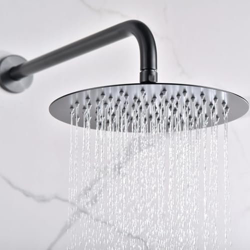 IMEX - Rociador Ducha Efecto Lluvia | Alcachofa Fija de Ducha Grande | Alcachofa Ducha Alta Presión Efecto Cascada | Rociador Techo Redondo de 30cm | Color Black Gun Metal
