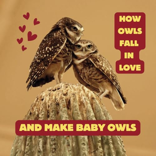 How Owls Fall in Love and Make Baby Owls: A cute story about two burrowing owls that fall in love