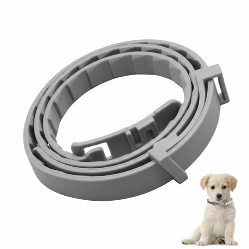 Collare Antiparassitario per Cani 62cm Regolabile - Protezione Efficace contro Pulci e Zecche - Collare Antipulci Cane Impermeabile e Resistente, Grigio